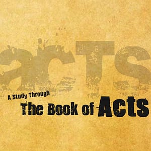 The Book of Acts book of acts